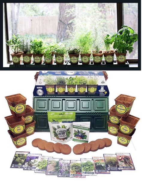 10 Best Windowsill Herb Gardens - Best Choice Reviews