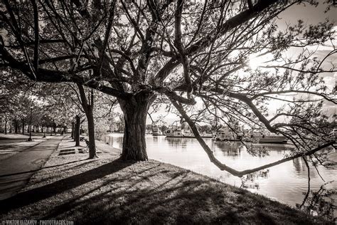 Image result for Diagonal Composition