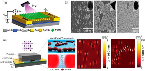 Recent Progress of Plasmonic Perovskite Photodetectors