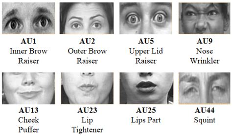 Facial Expression Recognition: A Survey