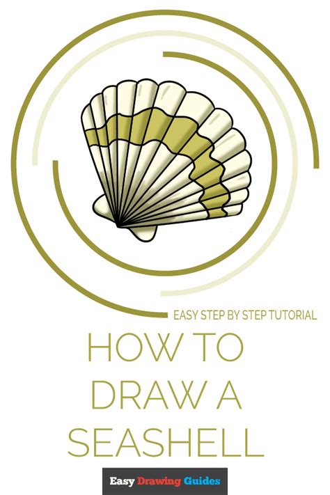 Seashell Drawing Tutorial 的图像结果