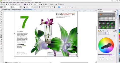 Image result for Generate Color Style Corel