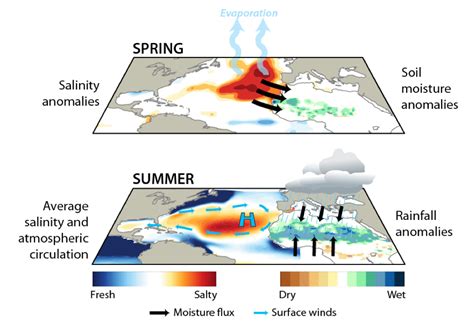 Ocean Salinity Explained 的图像结果