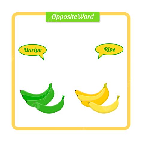 English Word Clipart PNG Images, Opposite English Words With Unripe And ...