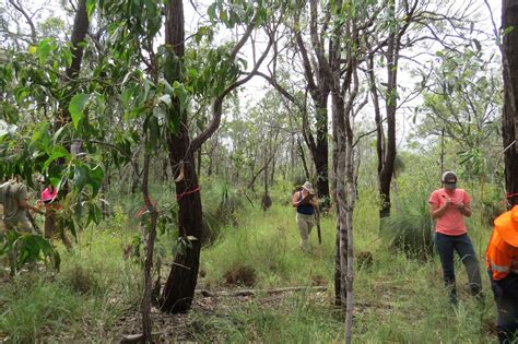 Image result for Vegetations Field Study Examples