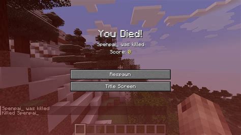 Image result for Kill Command Minecraft