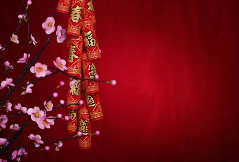 Laeacco 5x3ft Chinese Spring Festival Backdrop Year Decoration Vinyl ...