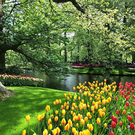 Springtime Fun 的图像结果