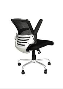 ATPL Mesh Office Chair, Staff and Workstation Chairs (Black) : Amazon ...