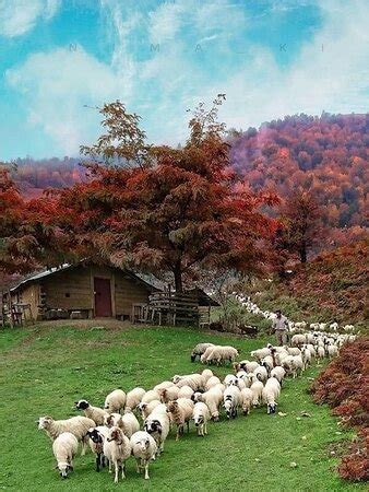 Masuleh Photos - Featured Images of Masuleh, Gilan Province - Tripadvisor