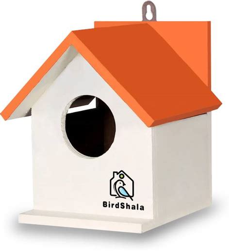 Birds - Buy Birds Online at Best Prices In India | Flipkart.com