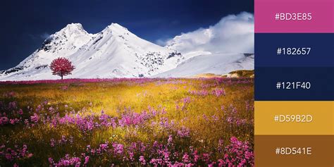 Popular Color Combinations 的图像结果