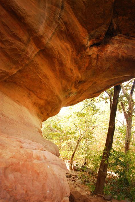 D'source Design Gallery on Bhimbetka Rock Shelter 12 - The Art of Rock ...