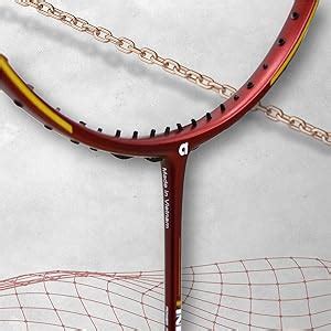 Buy Apacs Finapi 232 Xtra Power (40LBS, 100% Top Grade UHM Japanese ...