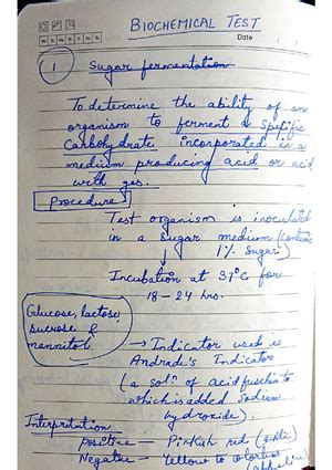 [Solved] Determine the blood group by gel method - B.Sc in Medical ...
