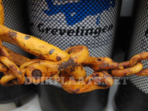 Secundaire duikerziekten: stikstofnarcose en koolmonoxidevergiftiging ...