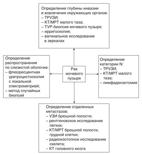 Рак мочевого пузыря 2023 г.