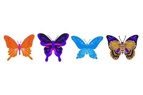 Image result for Butterfly Graph Design