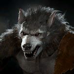 Werewolf - bg3.wiki