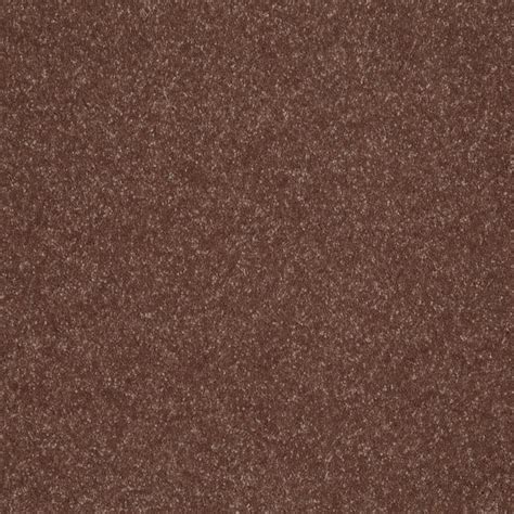 STAINMASTER (Sample) Essentials Intuition II 12 Ft Baked Pretzel ...