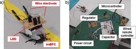 Cyborg System 的图像结果