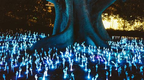 Meer | Edizione Italiana