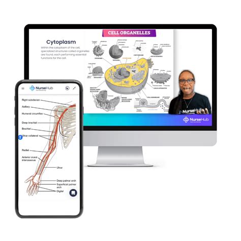 Best TEAS prep online courses | NurseHub