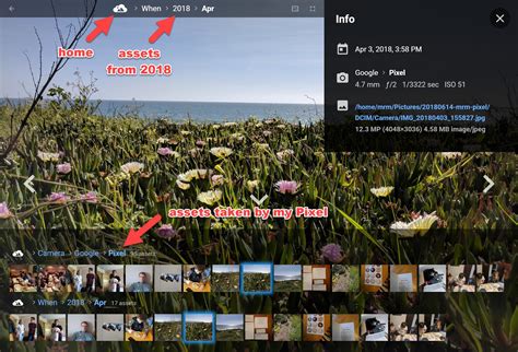 Image result for Photostream Tutorial