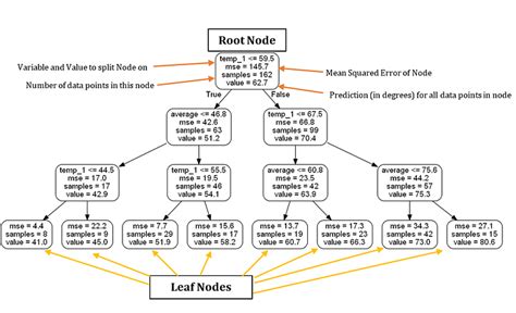 Image result for Python Dans Foret