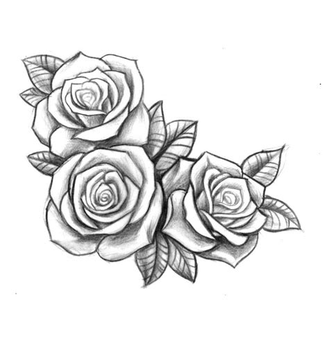 Rose Vine Drawing Designs at PaintingValley.com | Explore collection of ...