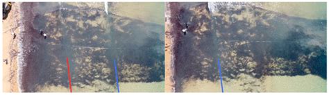 Effects of Fallen Posidonia Oceanica Seagrass Leaves on Wave Energy at ...