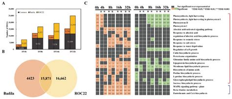 IJMS | January-1 2022 - Browse Articles