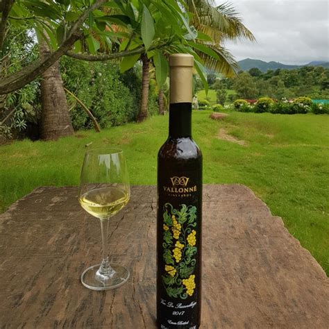 6 Best Homegrown Wines Under INR 2,000 | LBB