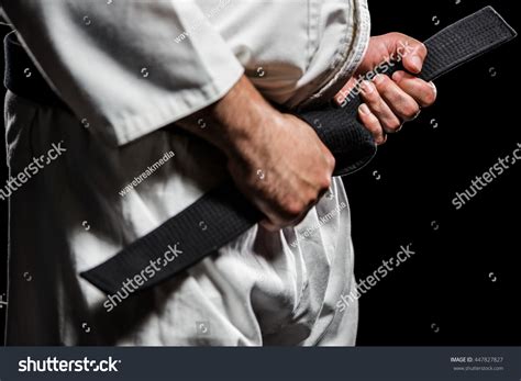 18,857 Karate White Black Belt Images, Stock Photos & Vectors ...