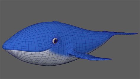 Image result for Whale 3D Tutorial SolidWorks