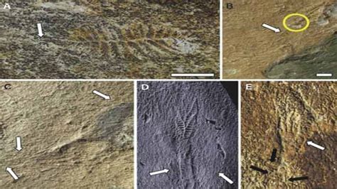 Forget Facebook or Twitter which arrived on the scene a few years back ...