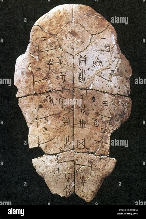 Tortoise Shell Characters 的图像结果