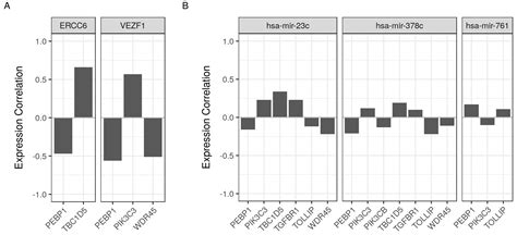 Functional Linkage of RKIP to the Epithelial to Mesenchymal Transition ...