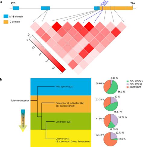 Image result for Genotype Frequency Analysis