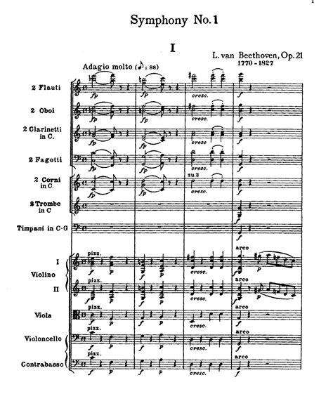 Beethoven's First Symphony — Skagit Symphony