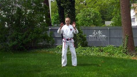 Tai Chi Flow Motion 的图像结果