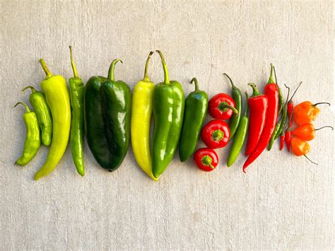 Pepper Identification Chart – Know Your Peppers