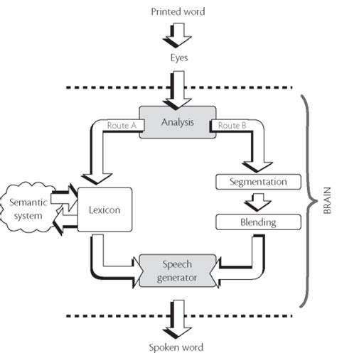 Image result for Processing Deficits