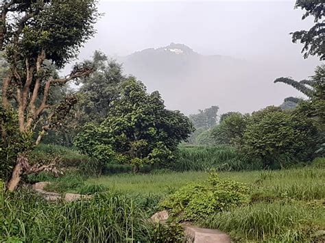 Maral Village Rishikesh Uttarakhand - All India Tour Packages by Indus ...