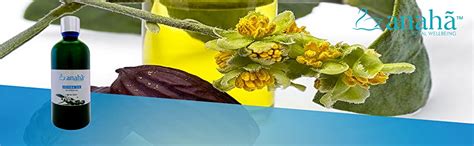 Buy Anaha Pure Jojoba Oil (30 ml) | Cold Pressed, Unrefined & Unscented ...