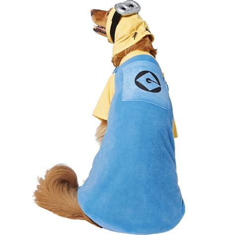 20 Cute Halloween Costumes for Extra Large Dogs (up to 3XL!) - Hey ...