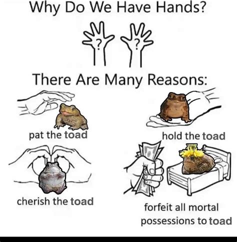 Toad's Mistake 的图像结果