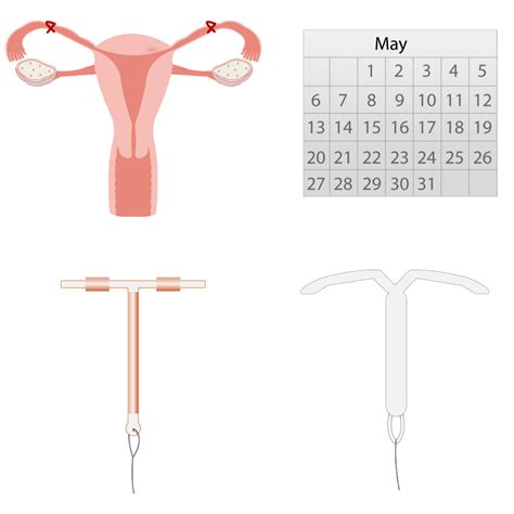 Types of Birth Control 的图像结果