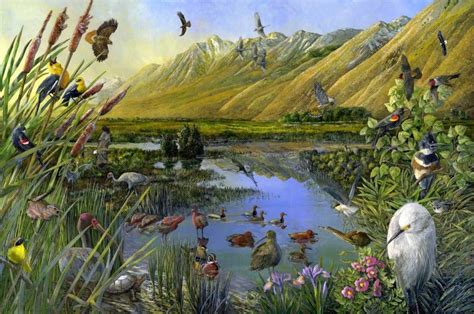 Conservative Nature Pictures 的图像结果