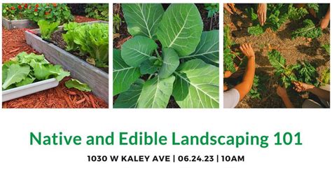 Edible and Native Gardening 101, 1030 W Kaley Ave, Orlando, FL 32805 ...